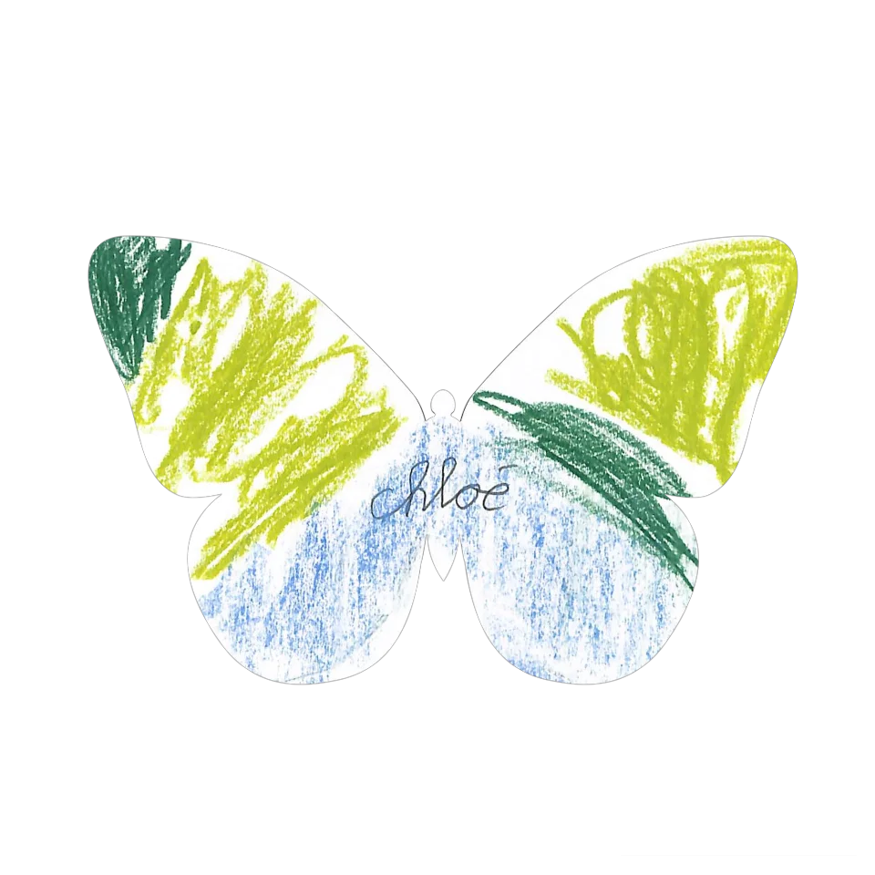 Original Butterfly Image
