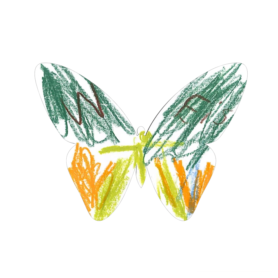 Original Butterfly Image