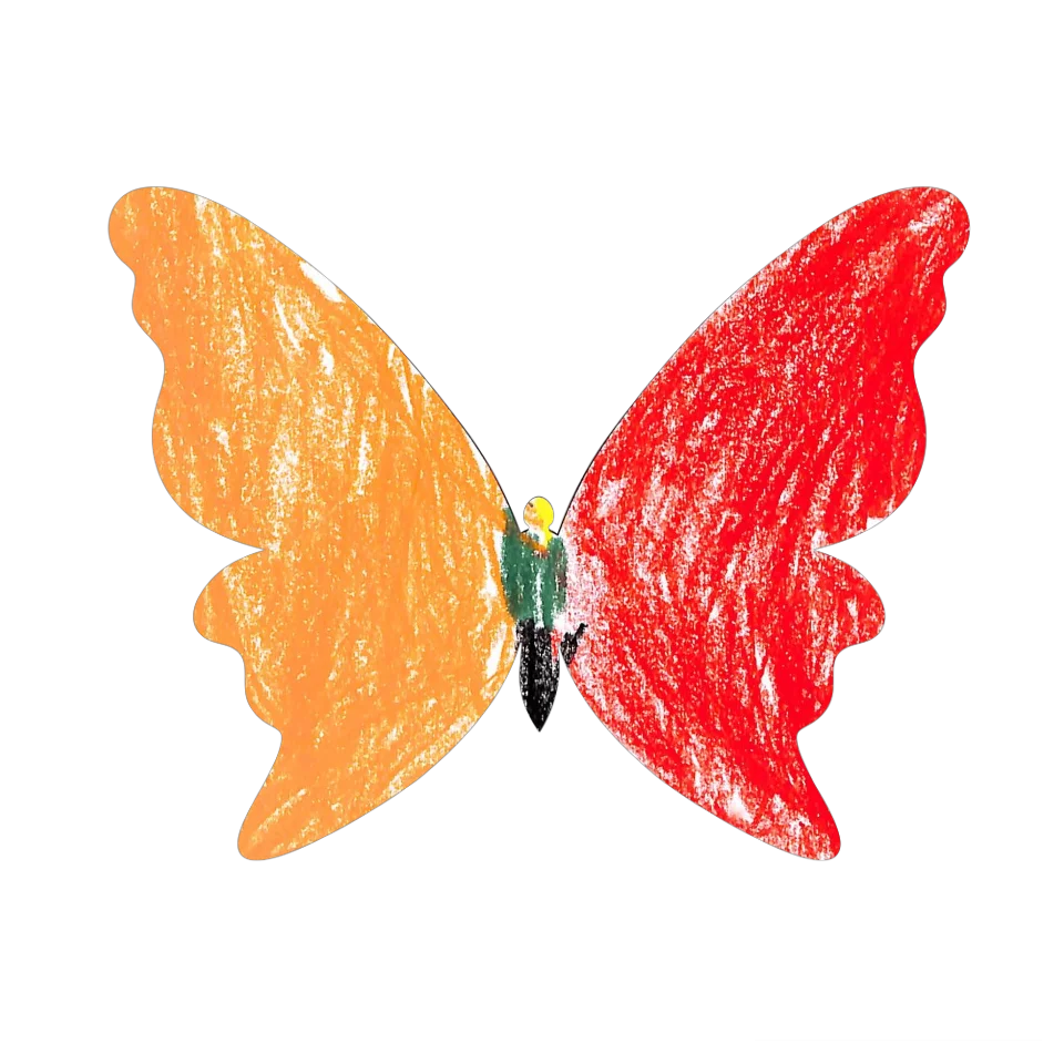 Original Butterfly Image