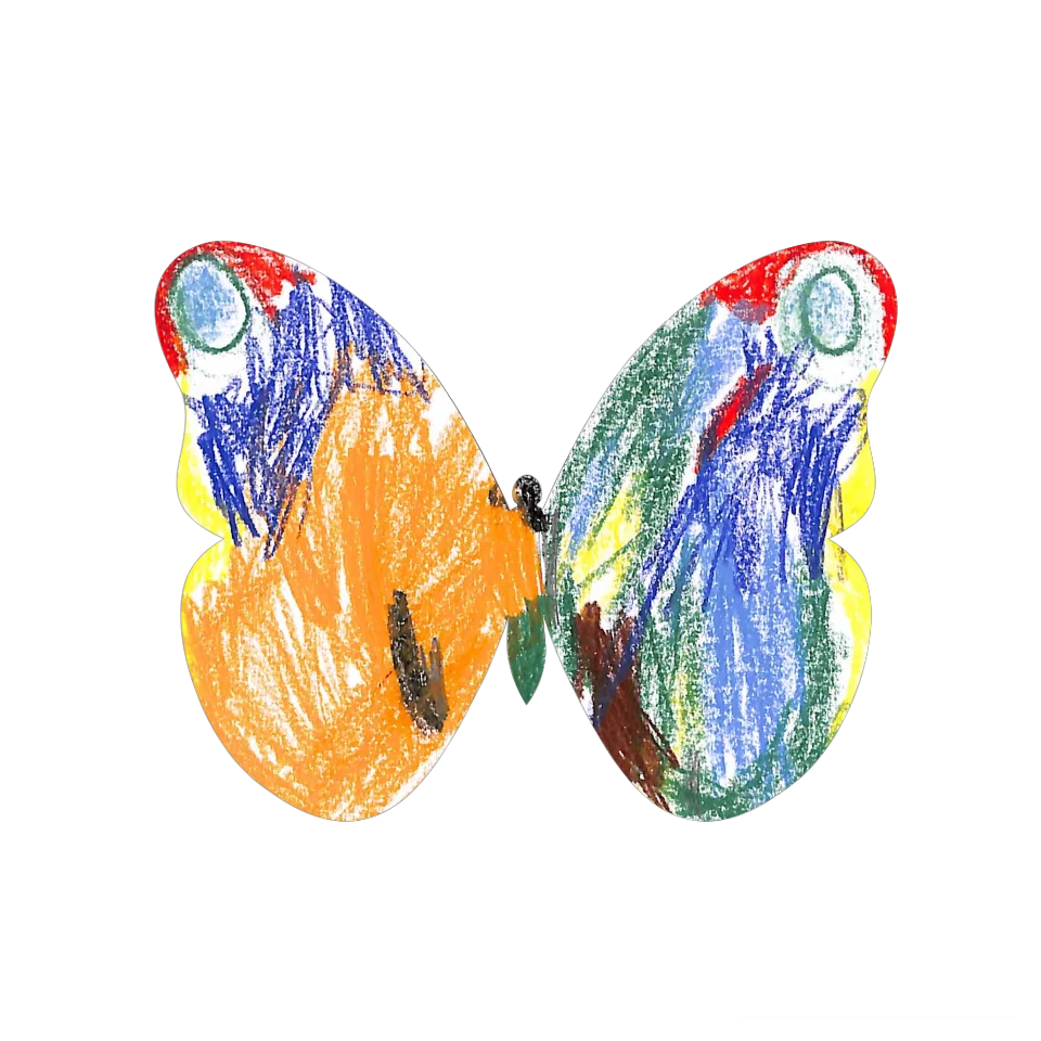Original Butterfly Image