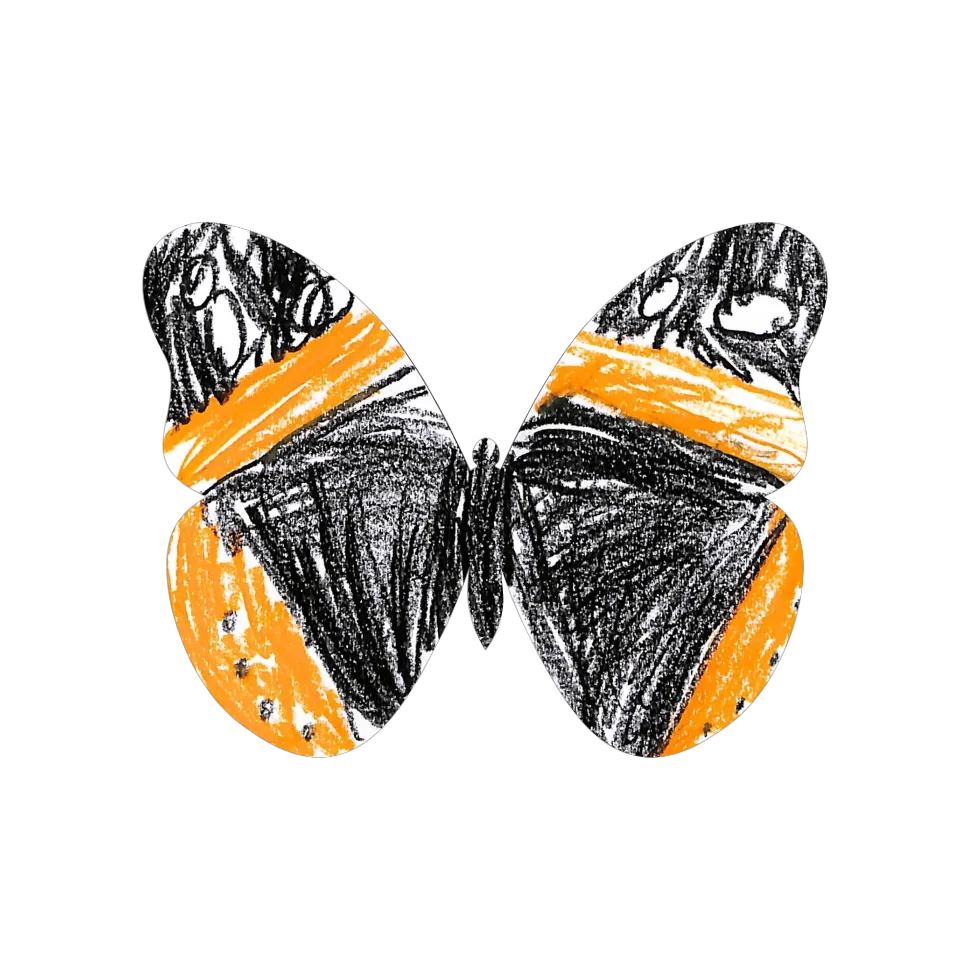 Original Butterfly Image
