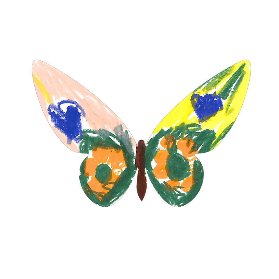 Original Butterfly Image
