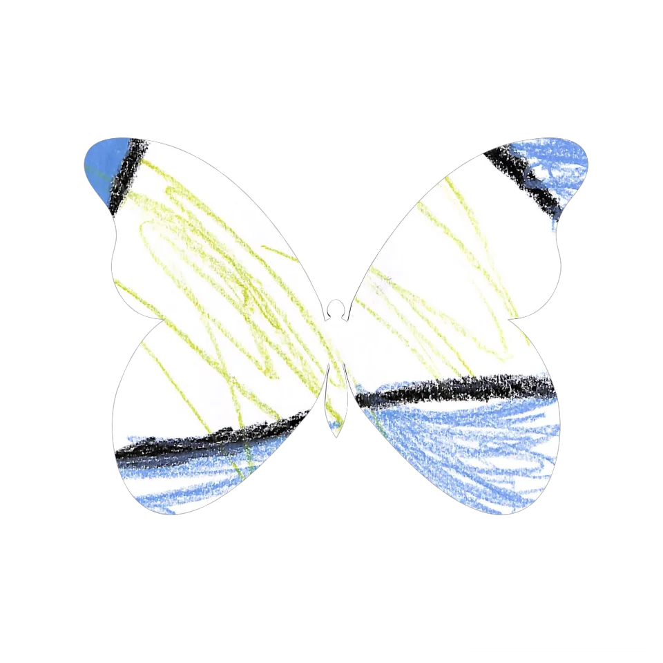 Original Butterfly Image
