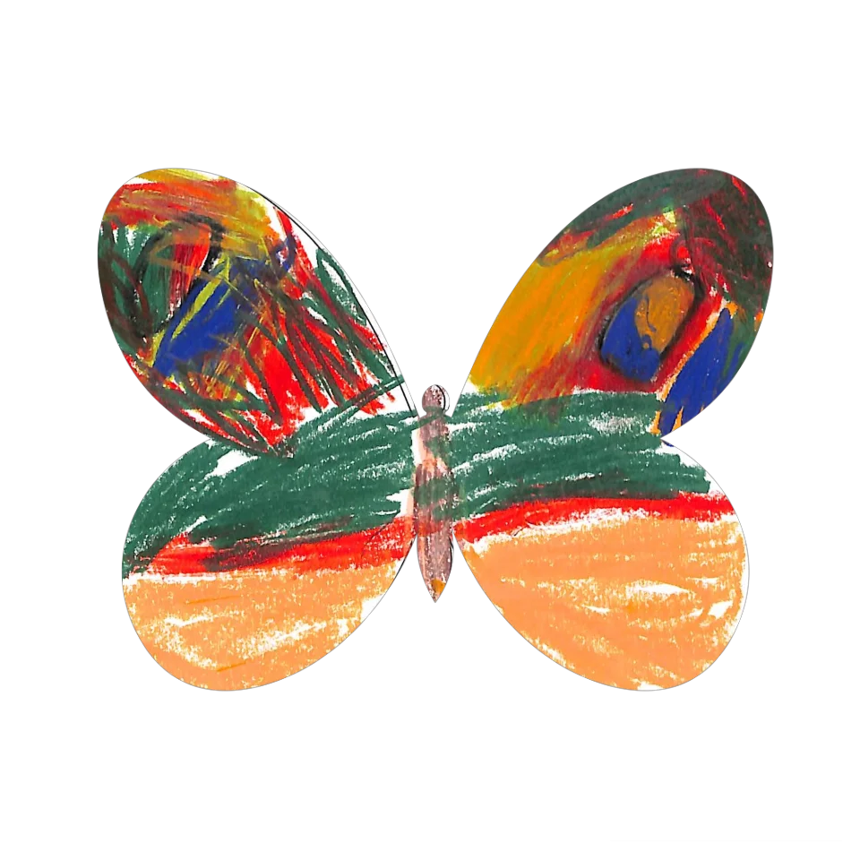 Original Butterfly Image