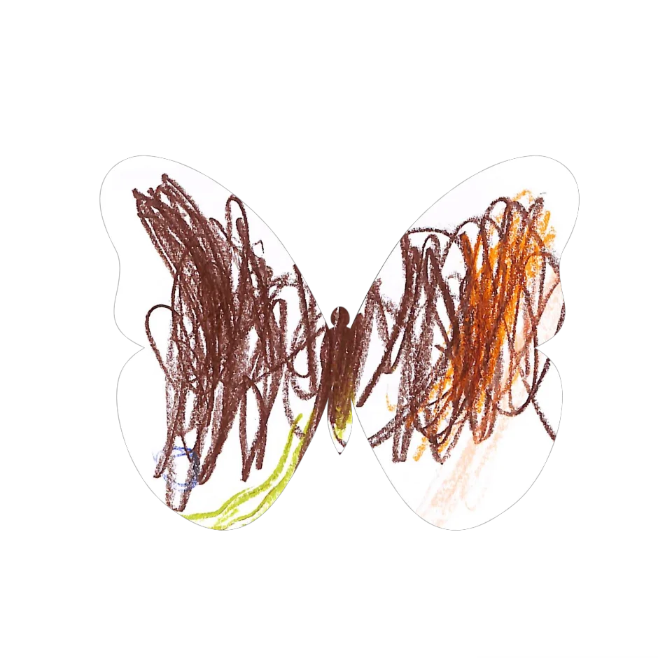 Original Butterfly Image