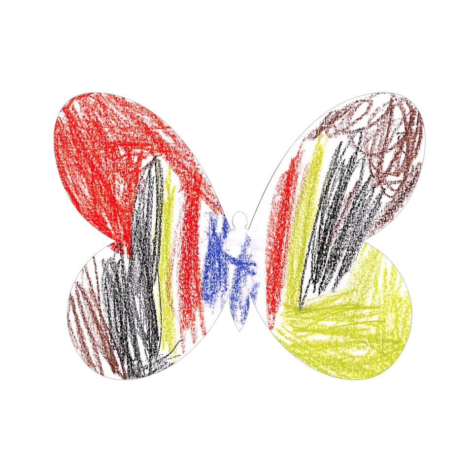 Original Butterfly Image
