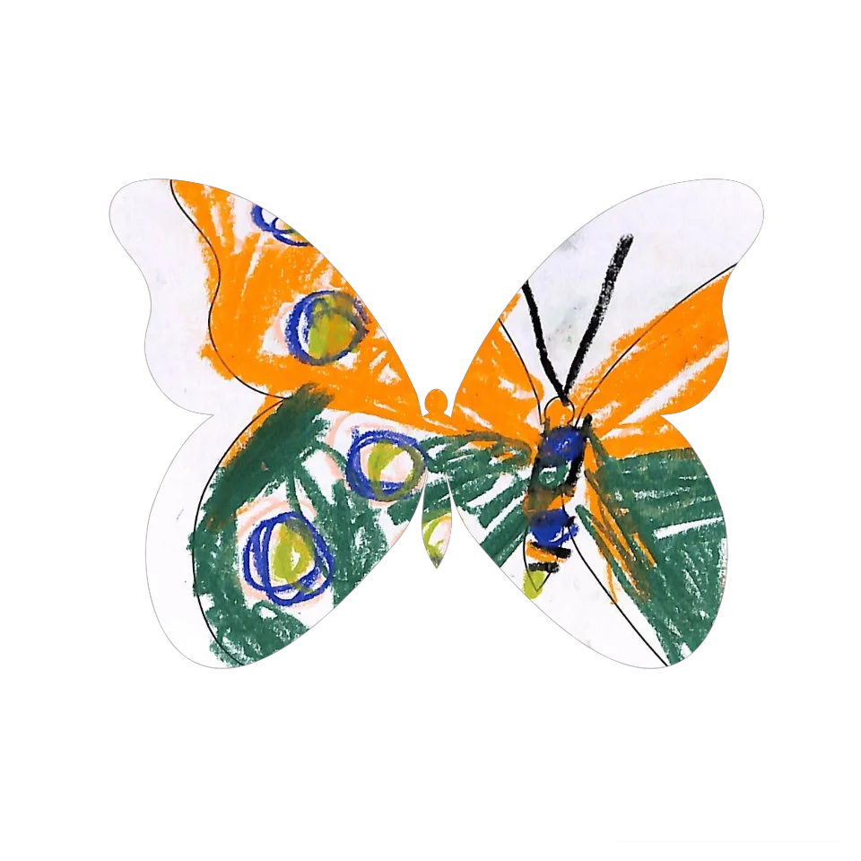 Original Butterfly Image