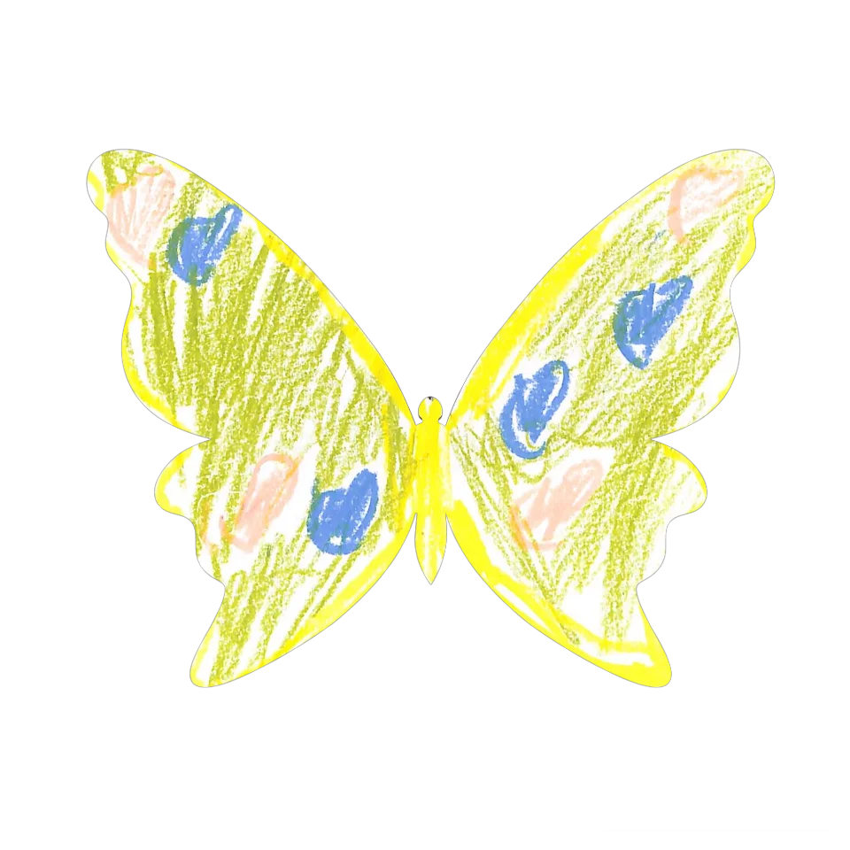 Original Butterfly Image