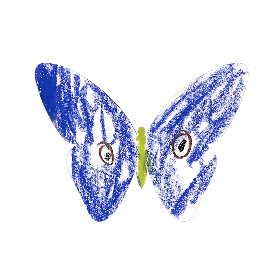 Original Butterfly Image