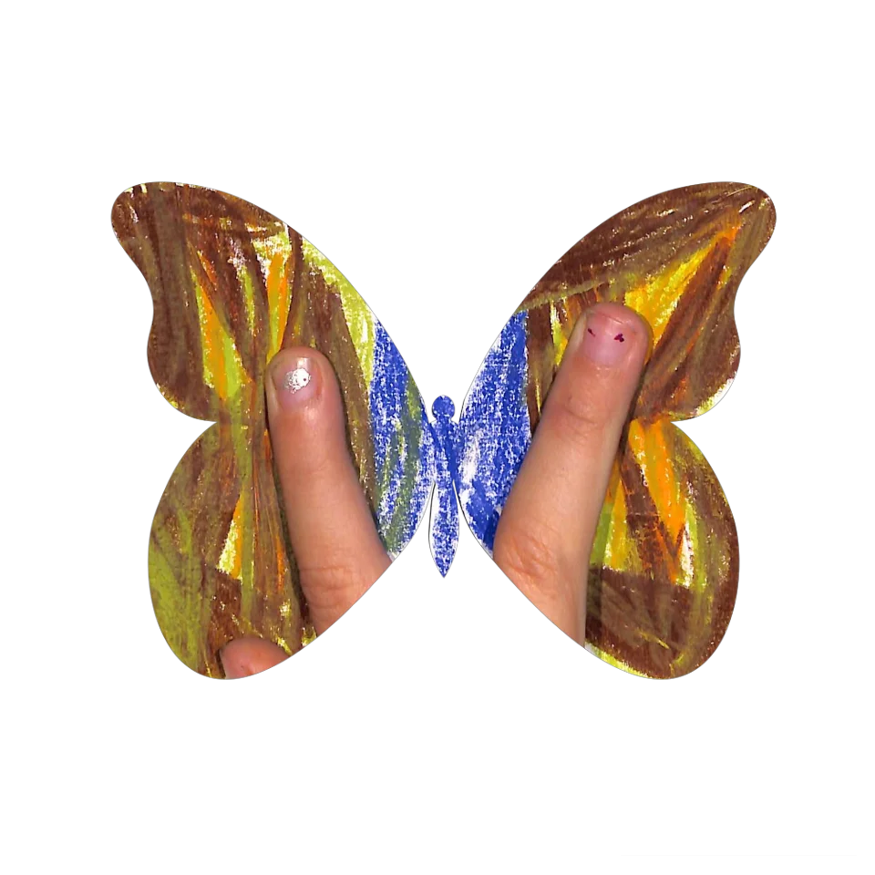 Original Butterfly Image