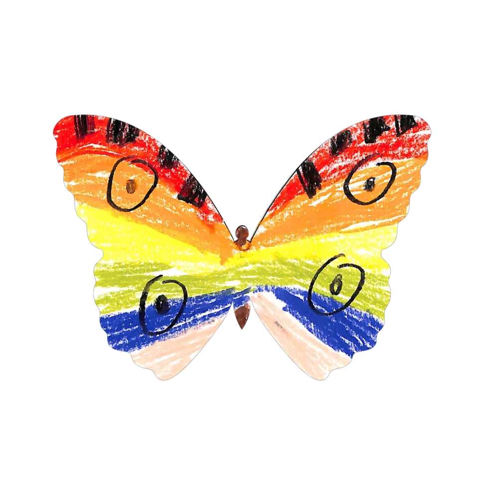 Original Butterfly Image