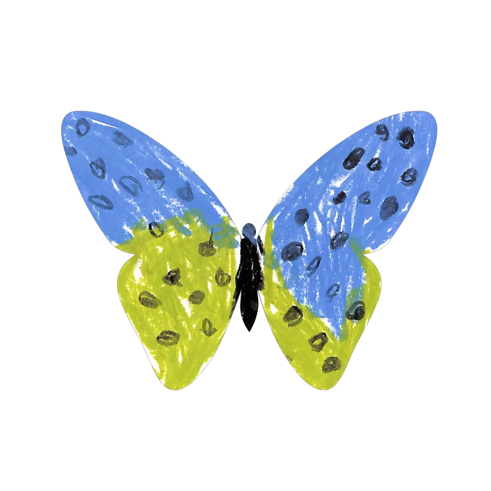 Original Butterfly Image