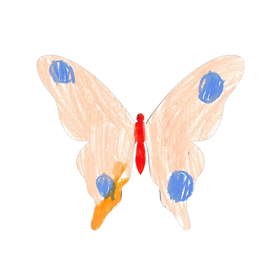 Original Butterfly Image