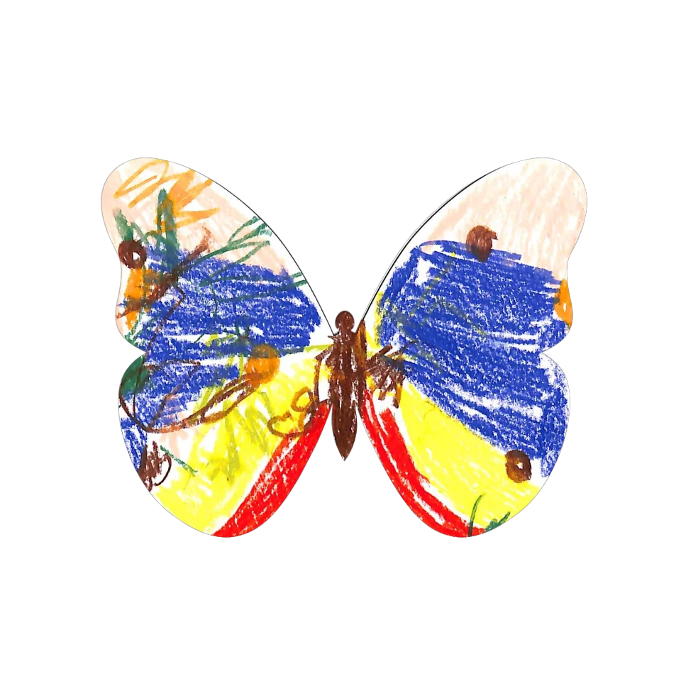 Original Butterfly Image