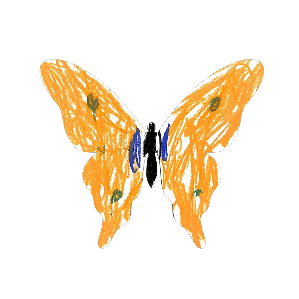 Original Butterfly Image