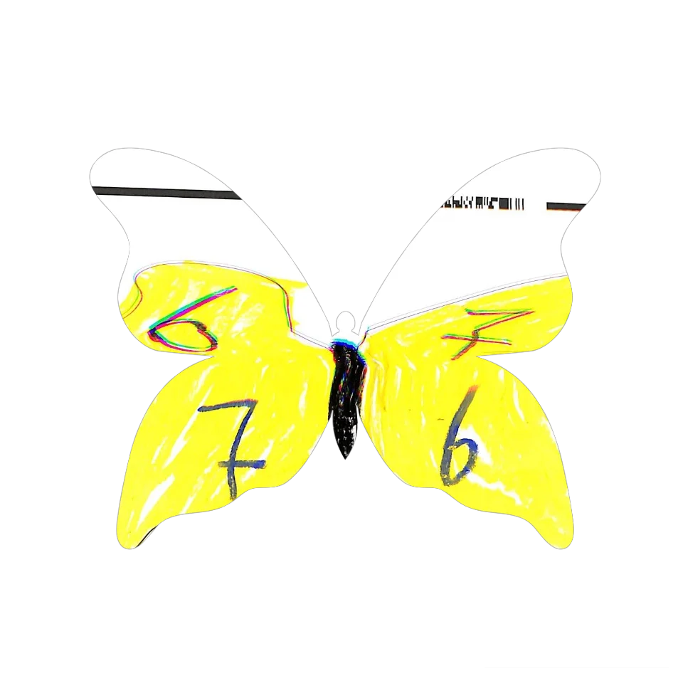 Original Butterfly Image