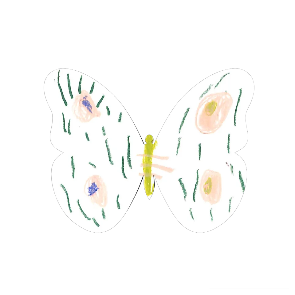 Original Butterfly Image