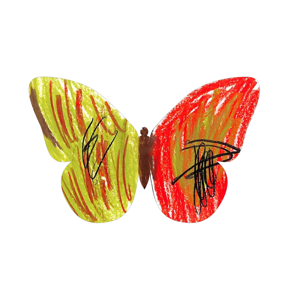Original Butterfly Image