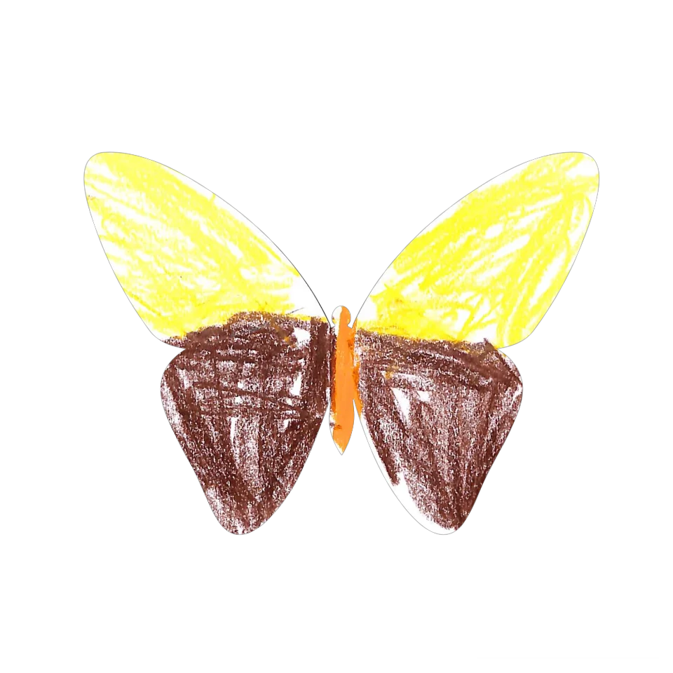 Original Butterfly Image