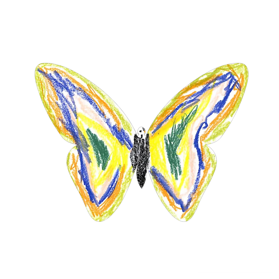 Original Butterfly Image