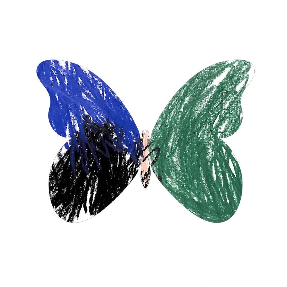 Original Butterfly Image