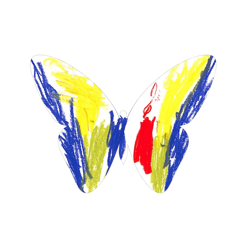 Original Butterfly Image