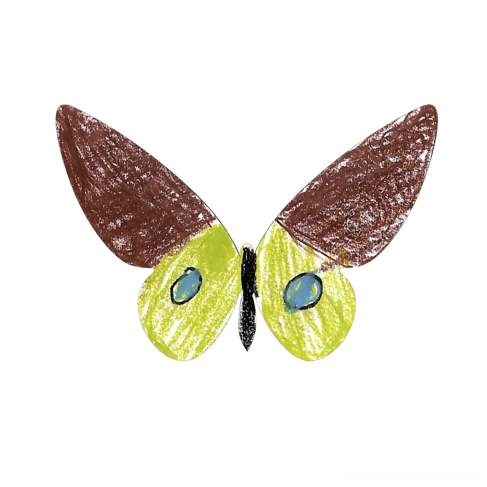 Original Butterfly Image