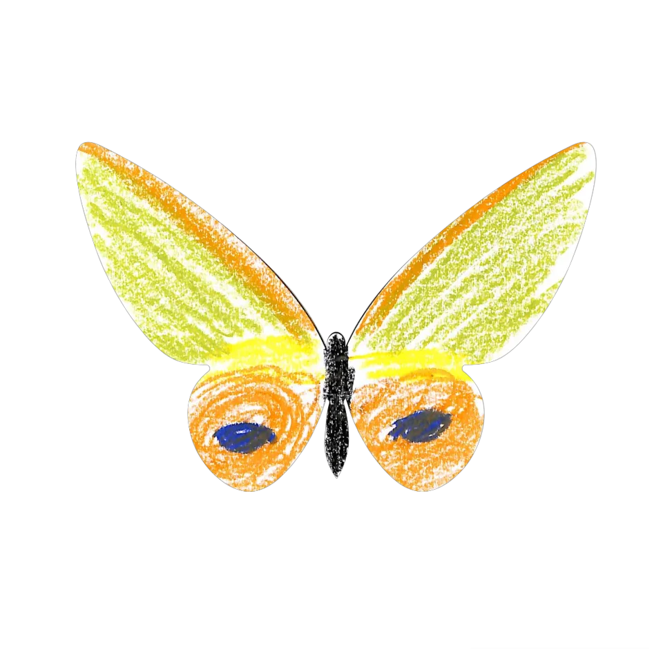 Original Butterfly Image