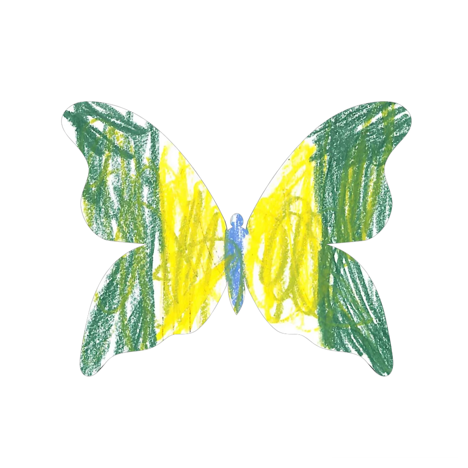 Original Butterfly Image
