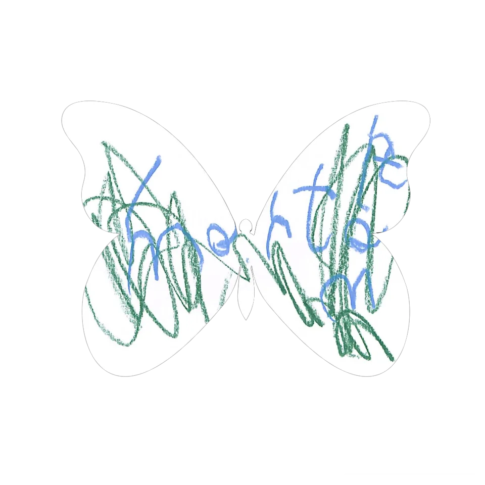 Original Butterfly Image