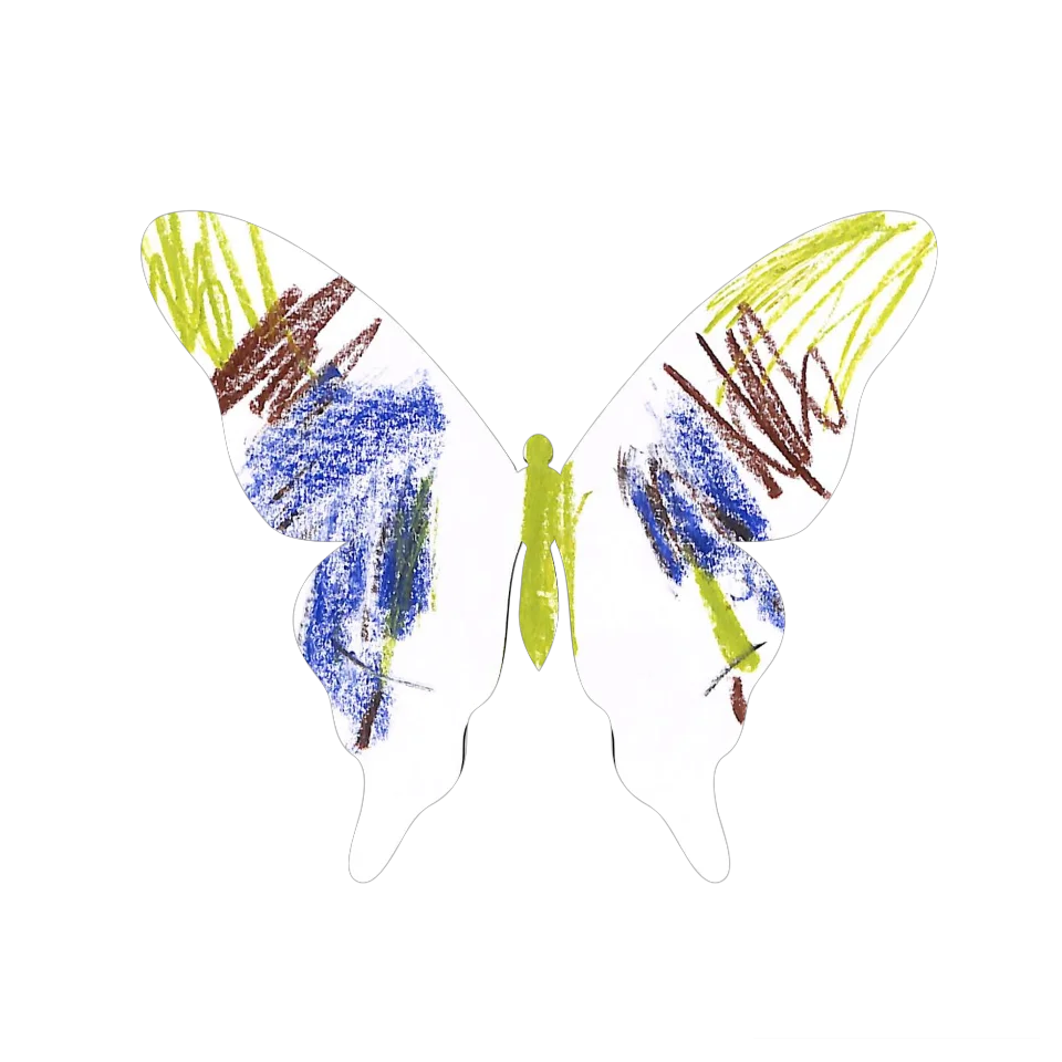 Original Butterfly Image
