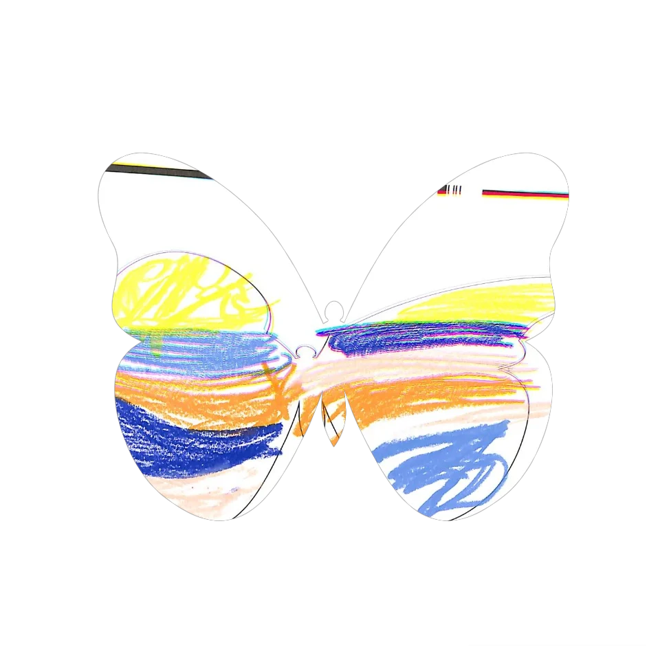 Original Butterfly Image