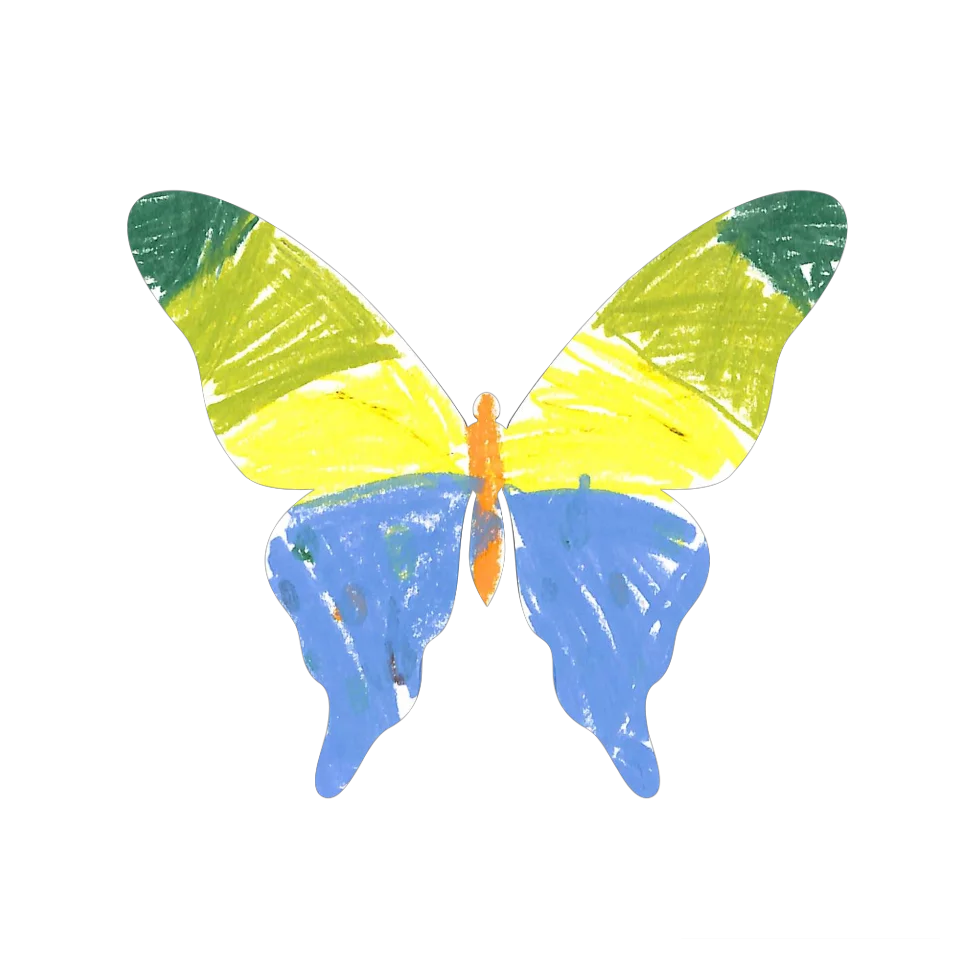 Original Butterfly Image