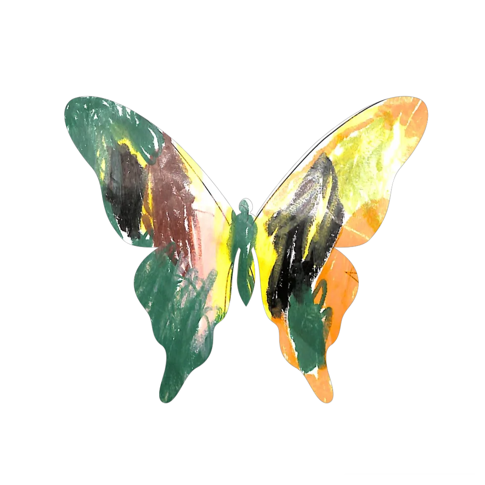 Original Butterfly Image
