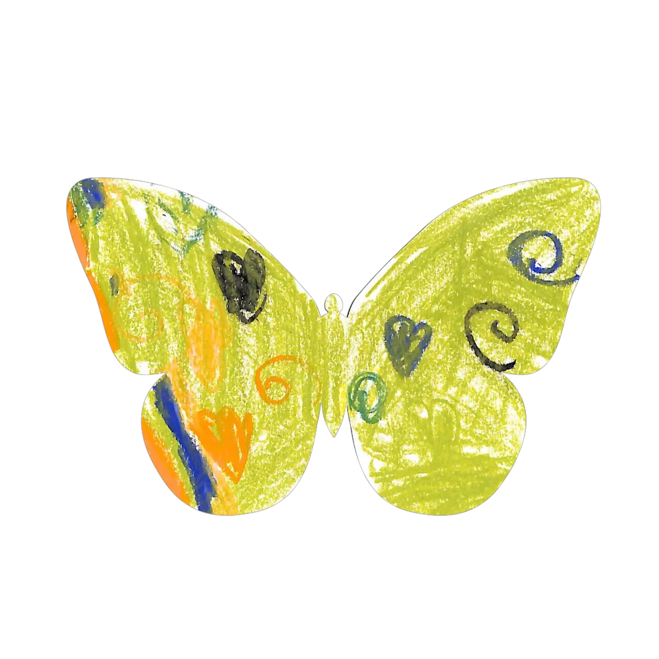 Original Butterfly Image