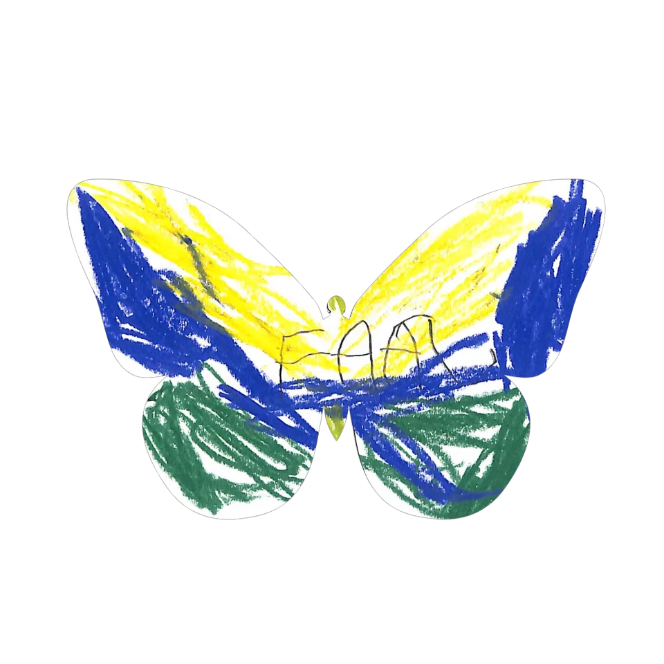Original Butterfly Image