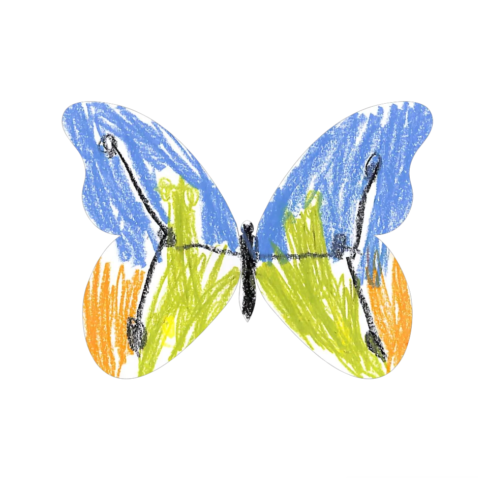 Original Butterfly Image