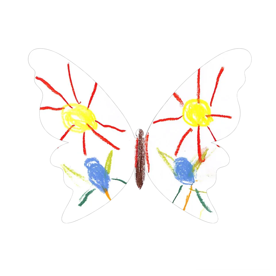 Original Butterfly Image
