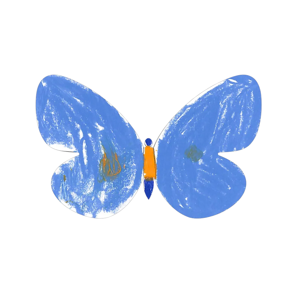 Original Butterfly Image
