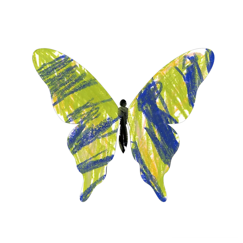 Original Butterfly Image