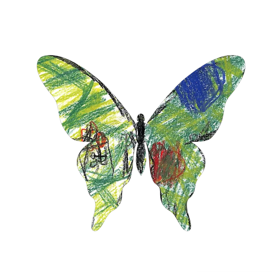 Original Butterfly Image