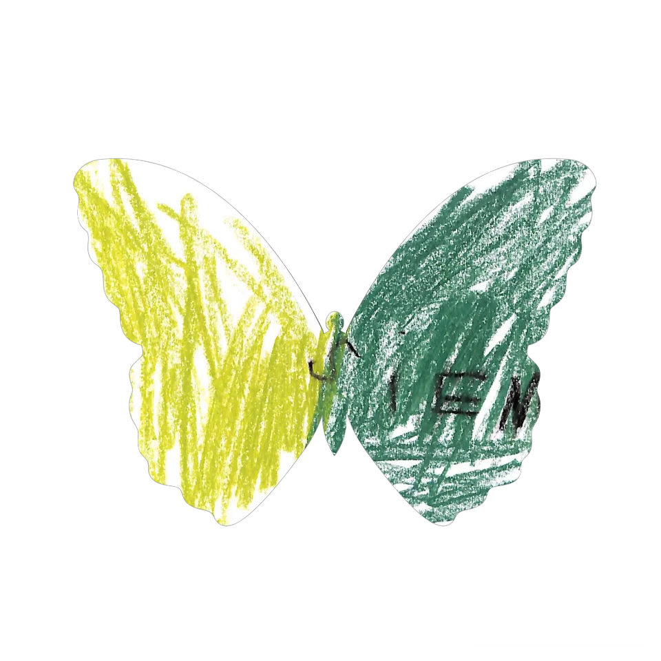 Original Butterfly Image