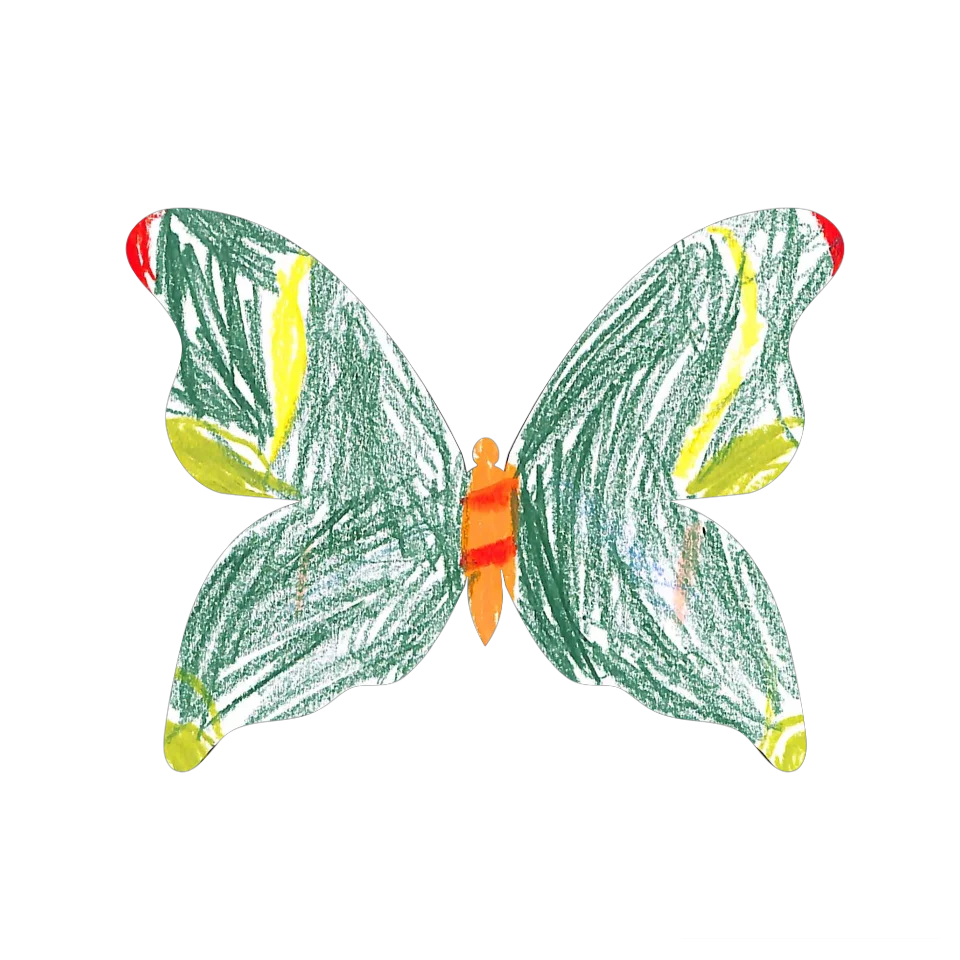 Original Butterfly Image