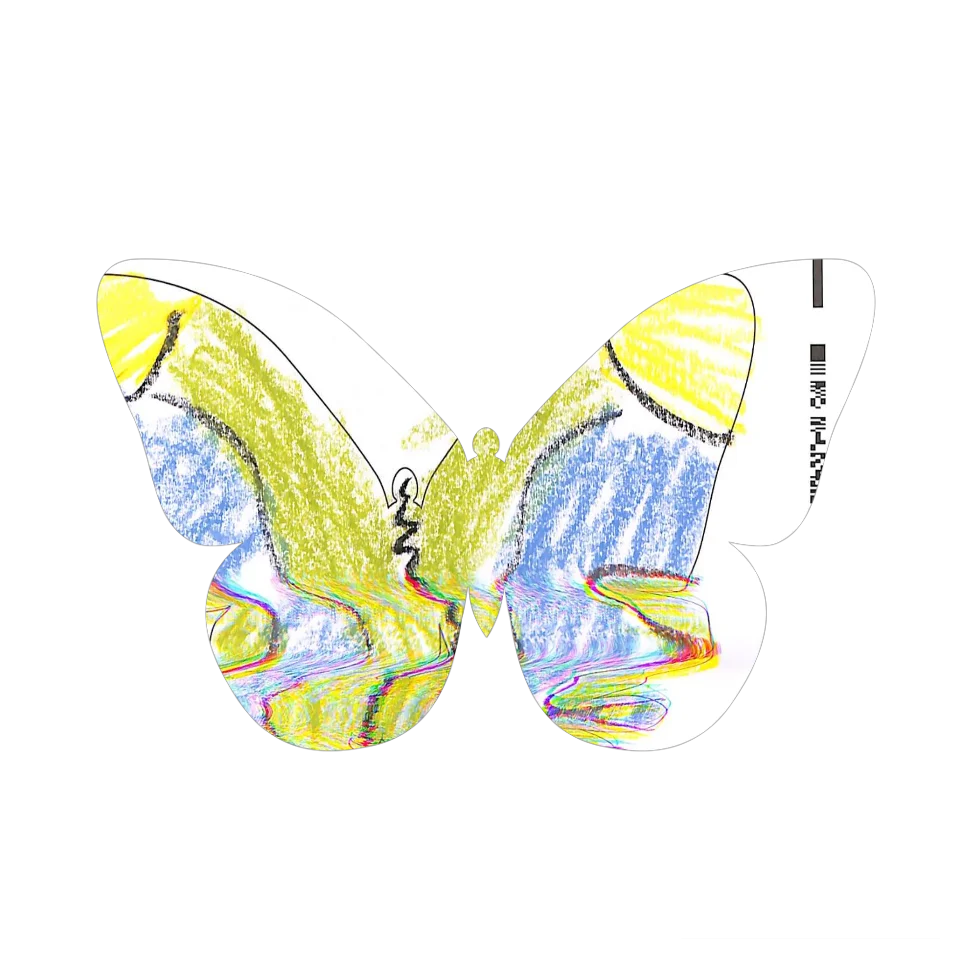 Original Butterfly Image
