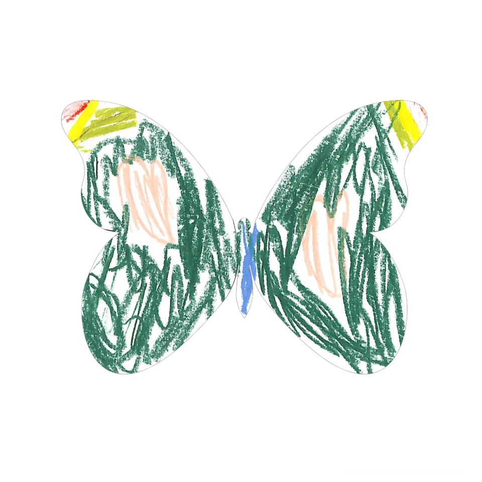 Original Butterfly Image