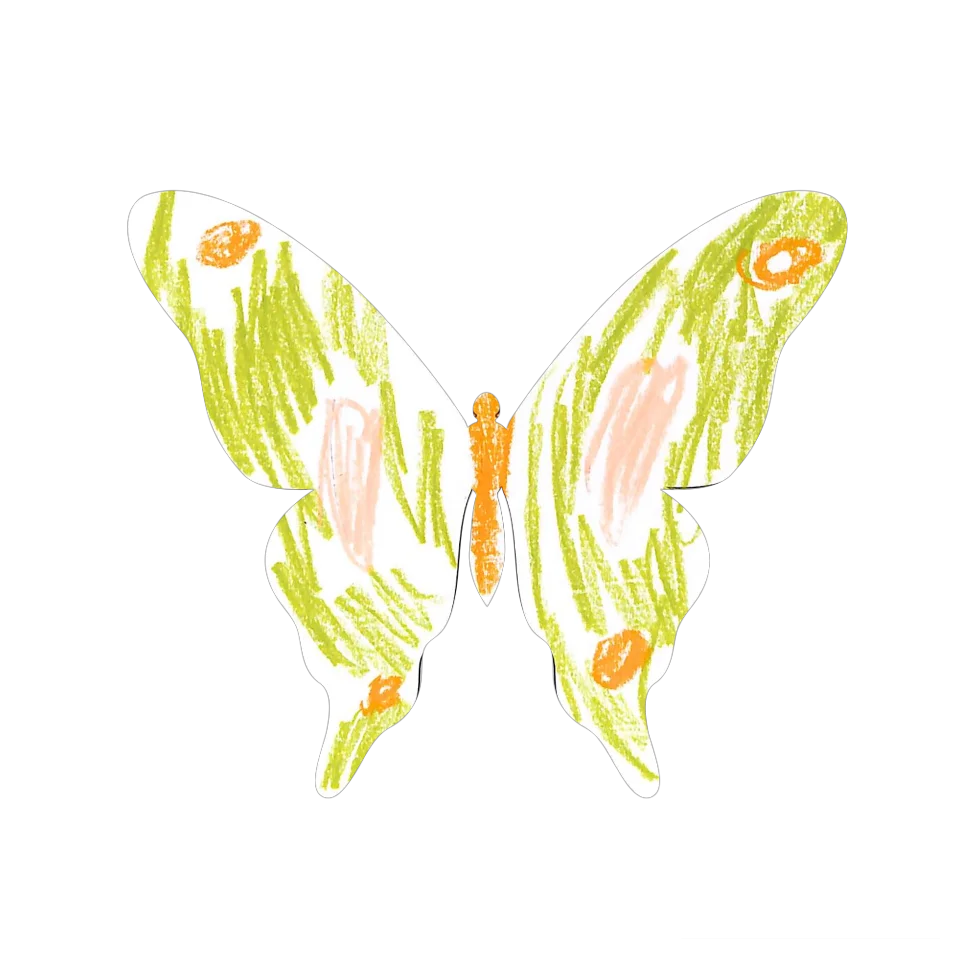 Original Butterfly Image