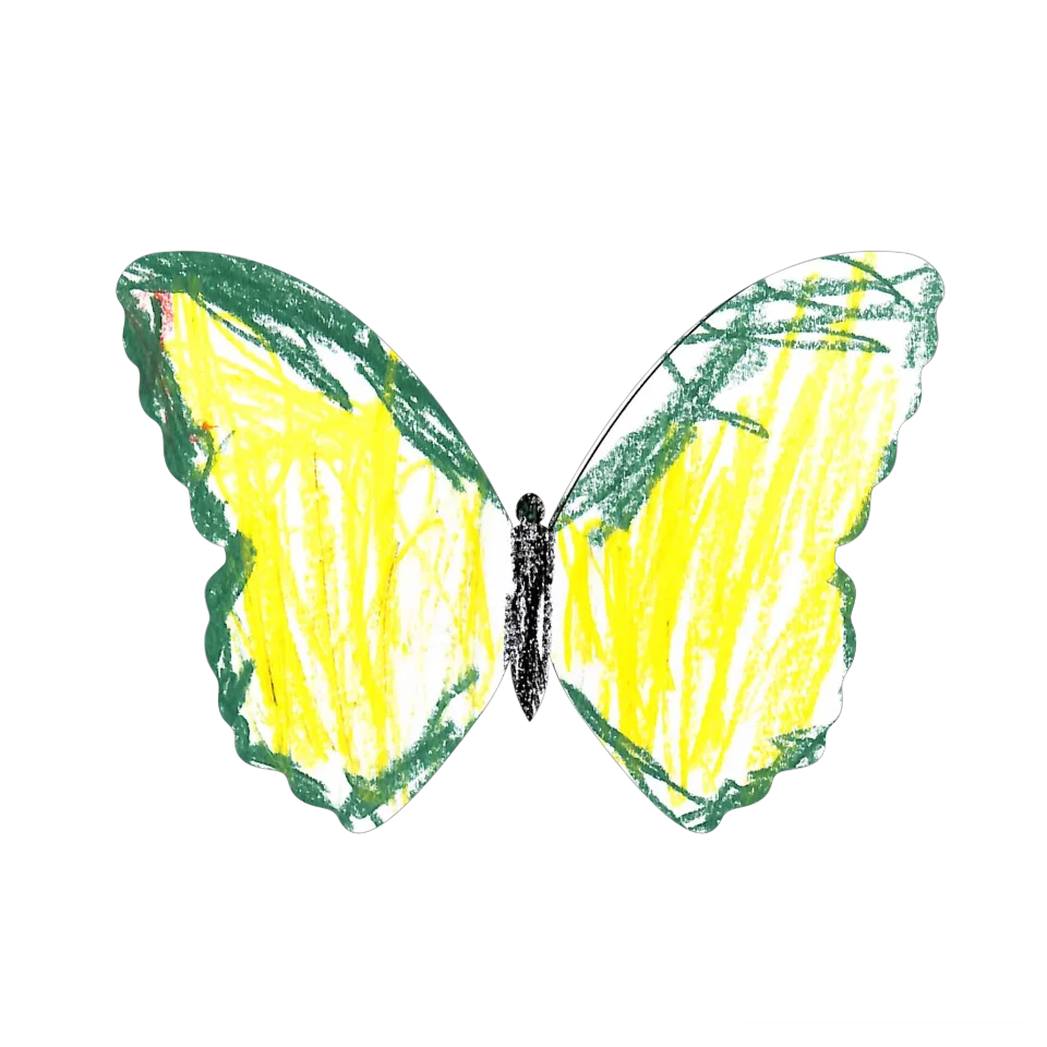 Original Butterfly Image