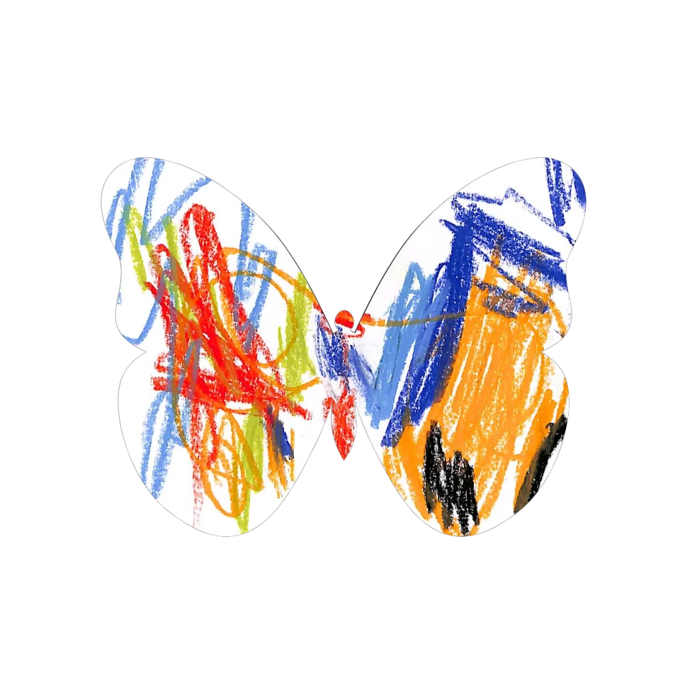 Original Butterfly Image