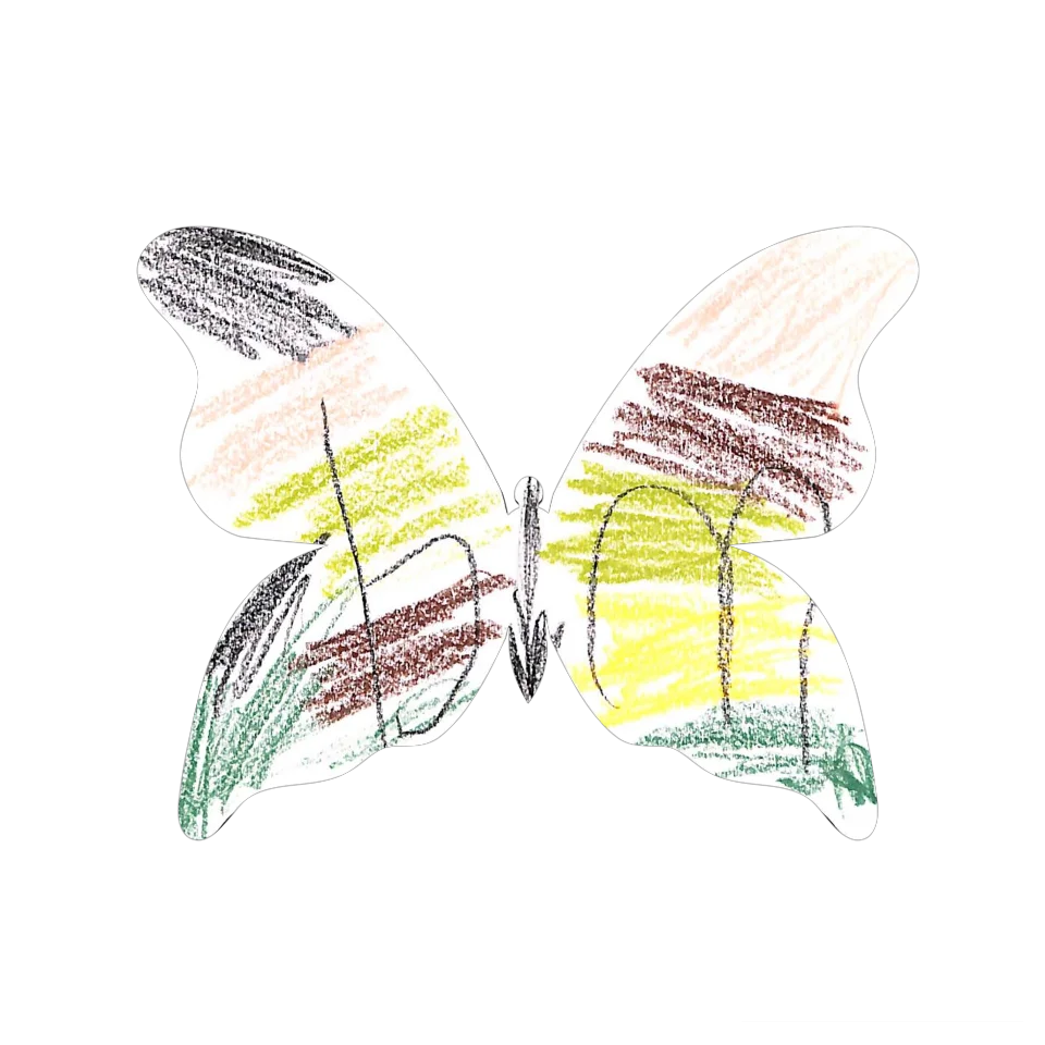 Original Butterfly Image