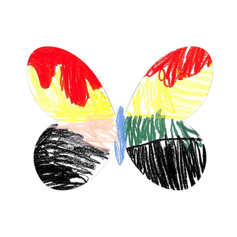Original Butterfly Image